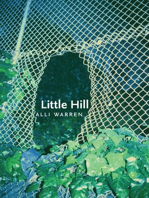 cover image of Little Hill